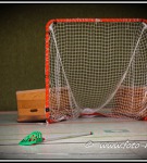 Panthers Cup 2014