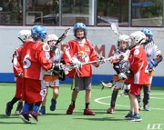 Za zápasu U11 LCC Ants–Bears Za zápasu U11 LCC Ants–Bears